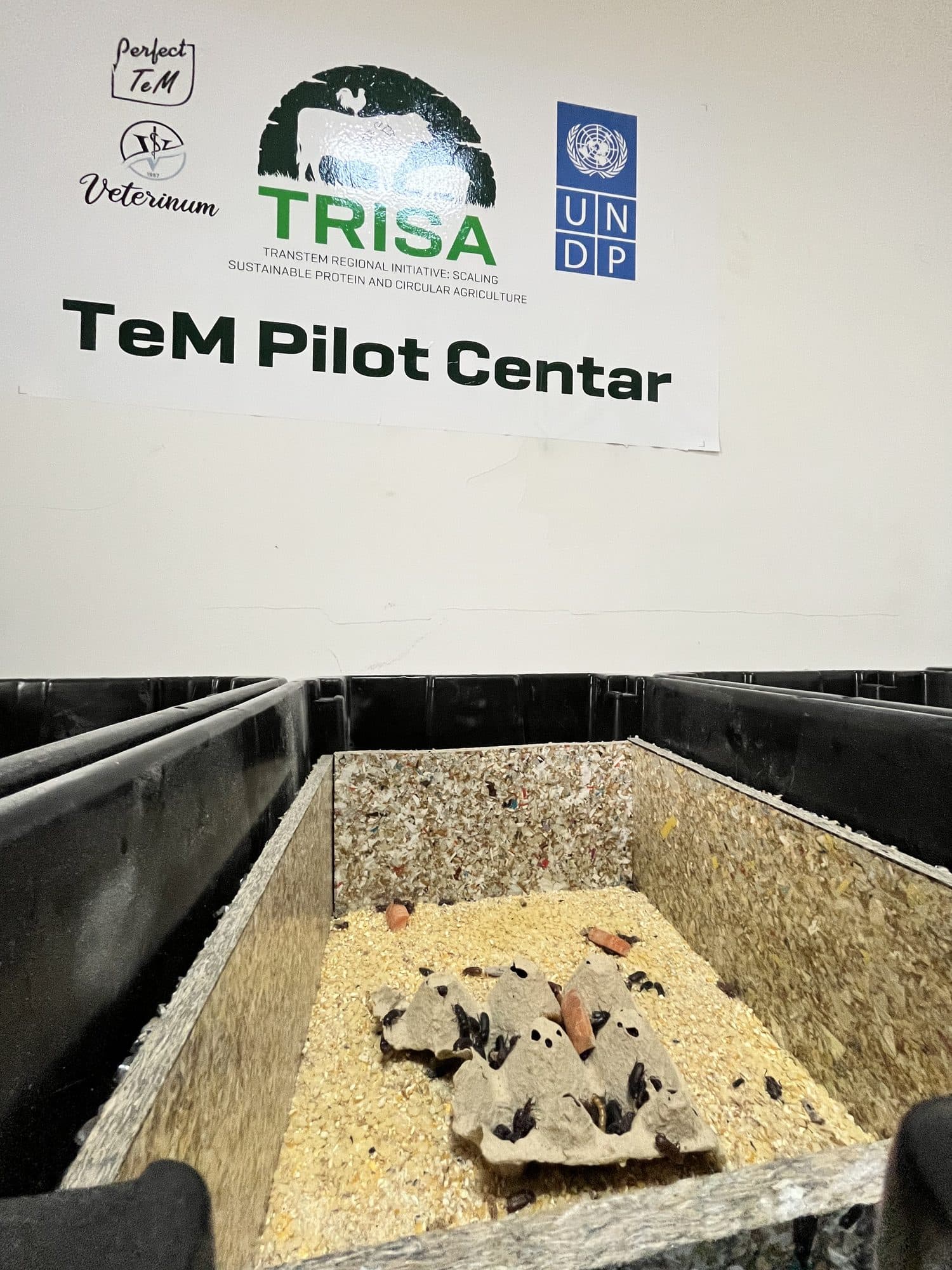 Pilot centar za uzgoj Tenebrio molitor larvi u Ulcinju